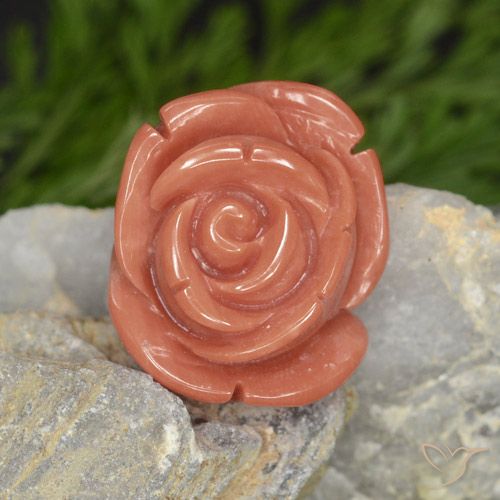 14.58ct Natürlicher Salmon Pink   Koralle, Fantasie, Lichtundurchlässig