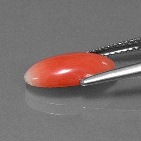 9,17 ctw natürlicher Lachs Koralle, Oval Schliff, Lichtundurchlässig