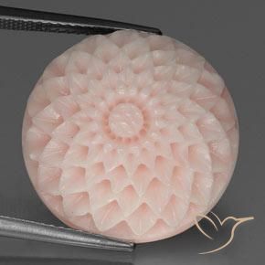 24.56ct Natürlicher Lachs-rosa Koralle, Blumen-Schliff, Lichtundurchlässig