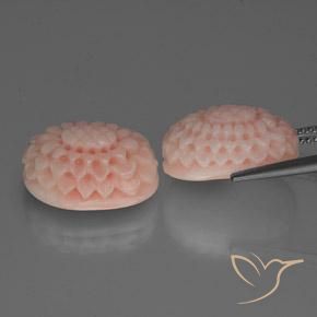 16.64 ct natürliche Lachs-rosa Koralle-Edelsteine, Fantasie, Lichtundurchlässig