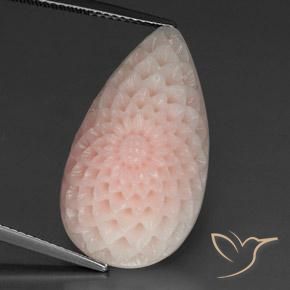 21.17ct Natürlicher hellrosa Koralle, Fantasie, Lichtundurchlässig