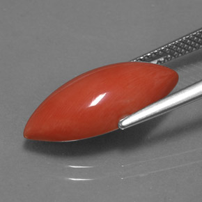 9,17 ctw natürlicher weiß-lachs Koralle, Marquise, Lichtundurchlässig