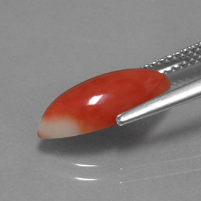 9,17 ctw natürlicher weiß-lachs Koralle, Marquise, Lichtundurchlässig