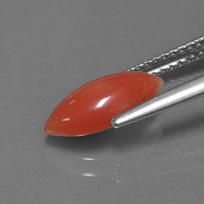 9,17 ctw natürlicher weiß-lachs Koralle, Marquise, Lichtundurchlässig