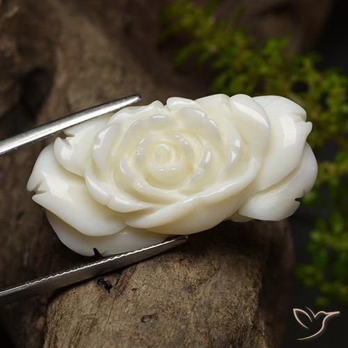 9,17 ctw natürlicher Helles Weiss Koralle, Blumen-Schliff, Lichtundurchlässig