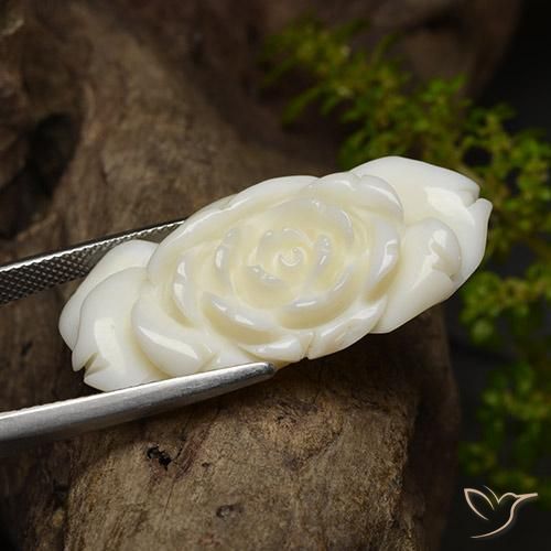 9,17 ctw natürlicher Helles Weiss Koralle, Blumen-Schliff, Lichtundurchlässig