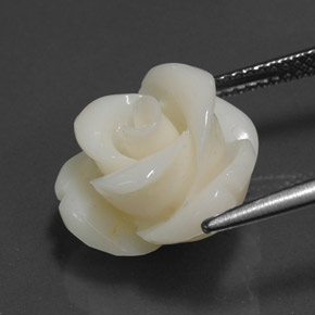 9,17 ctw natürlicher Weiß Koralle, Ausgefallene Form, Lichtundurchlässig