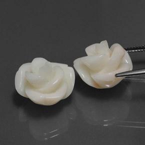 25,34 ct natürliche rosafarbener Koralle-Edelsteine, Fantasieschliff, Lichtundurchlässig