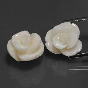 21,60 ct natürliche weißer Koralle-Edelsteine, Blumenschliff, Lichtundurchlässig