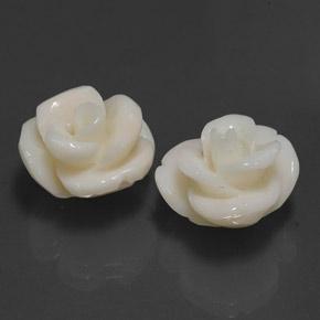 21,60 ct natürliche weißer Koralle-Edelsteine, Blumenschliff, Lichtundurchlässig