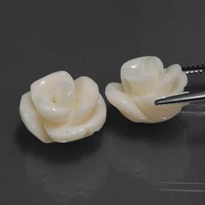 21,60 ct natürliche weißer Koralle-Edelsteine, Blumenschliff, Lichtundurchlässig