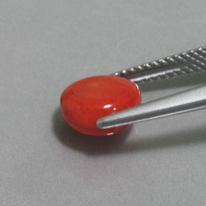 9,17 ctw natürlicher Lachs Koralle, Ausgefallene Form, Lichtundurchlässig