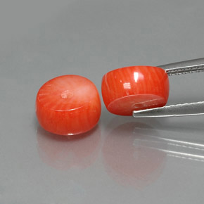  ct natürliche Lachs Koralle-Edelsteine, Ausgefallene Form, Lichtundurchlässig