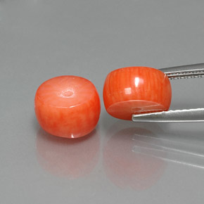  ct natürliche Lachs Koralle-Edelsteine, Ausgefallene Form, Lichtundurchlässig