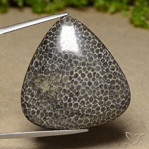 44.83ct Natürlicher Mehrfarbig Koralle, Birnenform, Lichtundurchlässig
