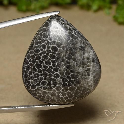 32.89ct Natürlicher Mehrfarbig Koralle, Birnenform, Lichtundurchlässig