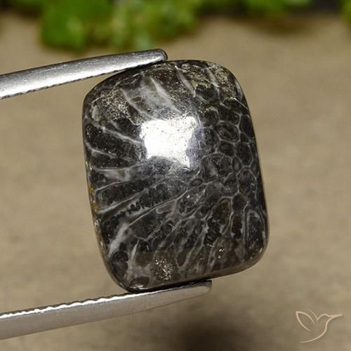 11.07ct Natürlicher Mehrfarbig Koralle, Kissen, Lichtundurchlässig