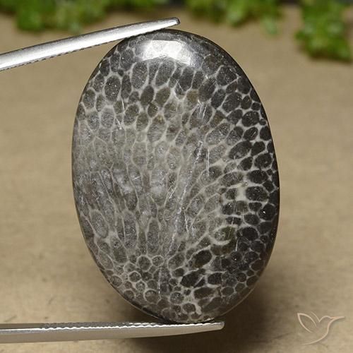 25.50ct Natürlicher Mehrfarbig Koralle, Oval, Lichtundurchlässig