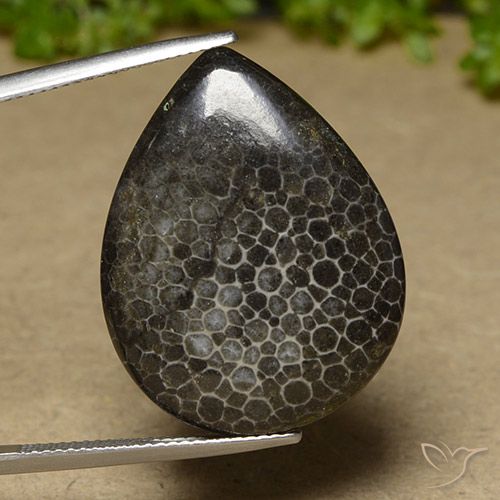 9,17 ctw natürlicher Mehrfarbig Koralle, Birnenform, Lichtundurchlässig