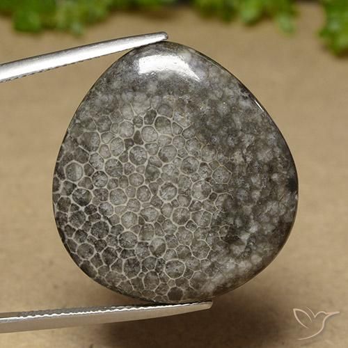 27.41ct Natürlicher Mehrfarbig Koralle, Birnenform, Lichtundurchlässig