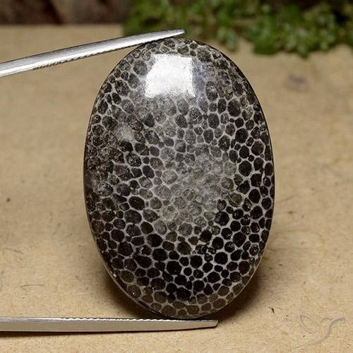 43.96ct Natürlicher Mehrfarbig Koralle, Oval, Lichtundurchlässig