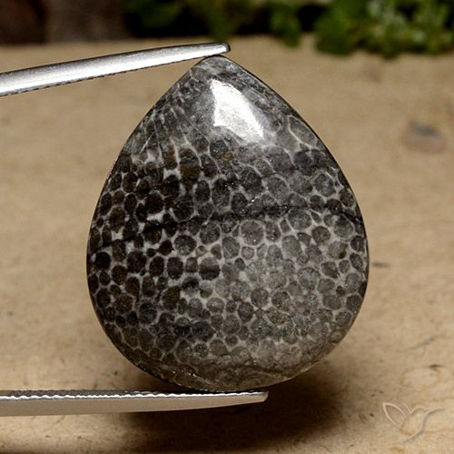 23.79ct Natürlicher Mehrfarbig Koralle, Birnenform, Lichtundurchlässig