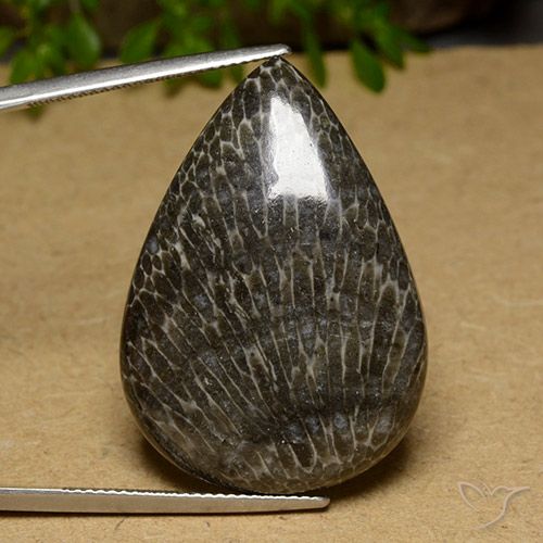 34.89ct Natürlicher Mehrfarbig Koralle, Birnenform, Lichtundurchlässig