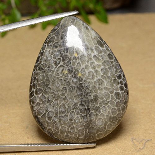 45.60ct Natürlicher Mehrfarbig Koralle, Birnenform, Lichtundurchlässig