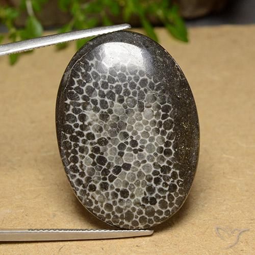 31.69ct Natürlicher Mehrfarbig Koralle, Oval, Lichtundurchlässig