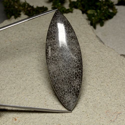 67.17ct Natürlicher Mehrfarbig Koralle, Marquise, Lichtundurchlässig