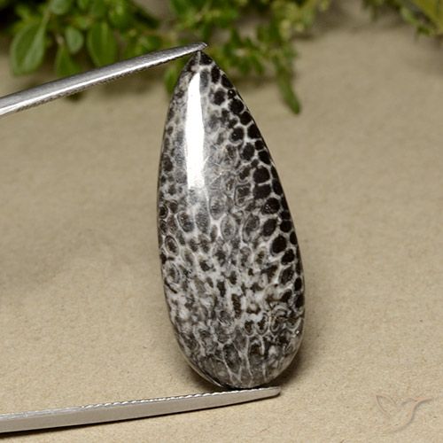21.91ct Natürlicher Mehrfarbig Koralle, Birnenform, Lichtundurchlässig