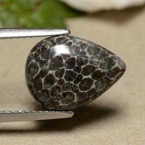 9,17 ctw natürlicher Grau Koralle, Birnenform, Lichtundurchlässig