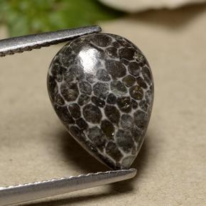 9,17 ctw natürlicher Grau Koralle, Birnenform, Lichtundurchlässig