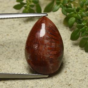 9,17 ctw natürlicher Mehrfarbig Koralle, Birnenform, Lichtundurchlässig