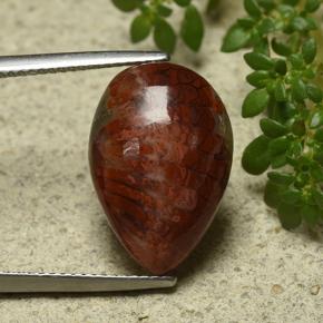 9,17 ctw natürlicher Mehrfarbig Koralle, Birnenform, Lichtundurchlässig