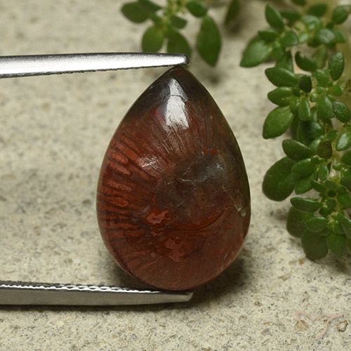 7.03ct Natürlicher Mehrfarbig Koralle, Birnenform, Lichtundurchlässig