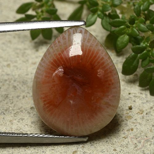11.86ct Natürlicher Mehrfarbig Koralle, Birnenform, Lichtdurchlässig