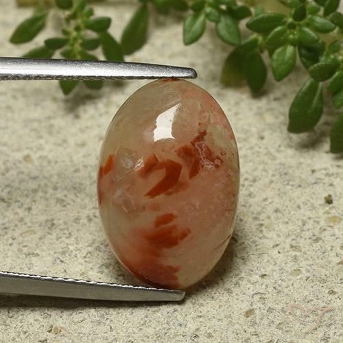 6.87ct Natürlicher Mehrfarbig Koralle, Oval, Lichtdurchlässig, Photo A