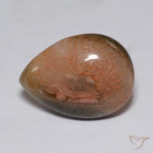 9.60ct Natürlicher Mehrfarbig Koralle, Birnenform, Lichtdurchlässig