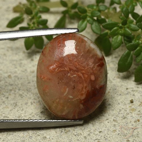 9.58ct Natürlicher Mehrfarbig Koralle, Oval, Lichtdurchlässig