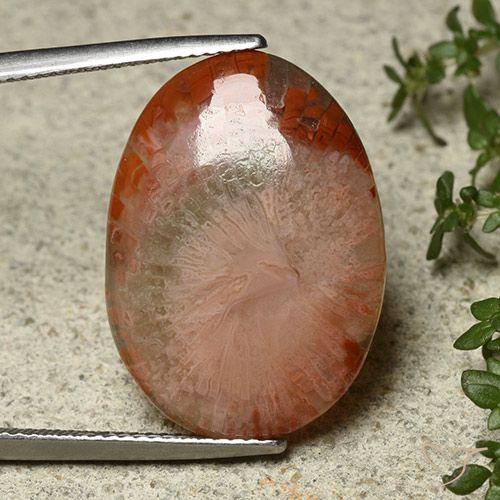 12.10ct Natürlicher Mehrfarbig Koralle, Oval, Lichtdurchlässig