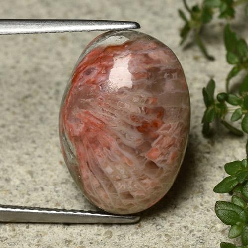 9,17 ctw natürlicher Mehrfarbig Koralle, Oval Schliff, Lichtundurchlässig