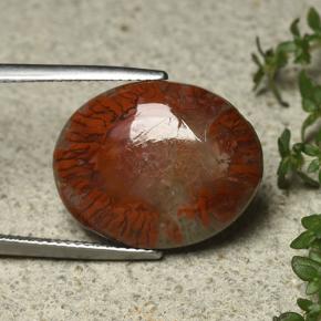 9,17 ctw natürlicher Mehrfarbig Koralle, Oval Schliff, Lichtundurchlässig