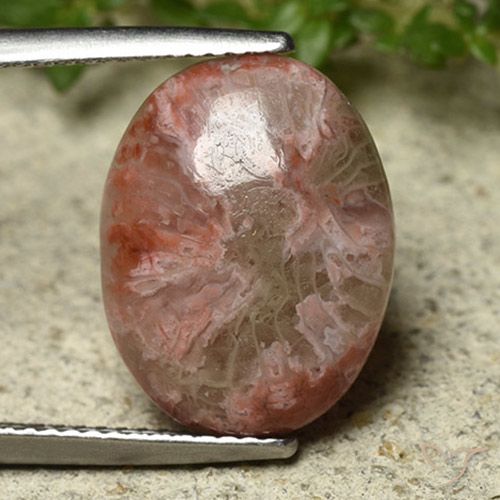 6.22ct Natürlicher Mehrfarbig Koralle, Oval, Lichtundurchlässig