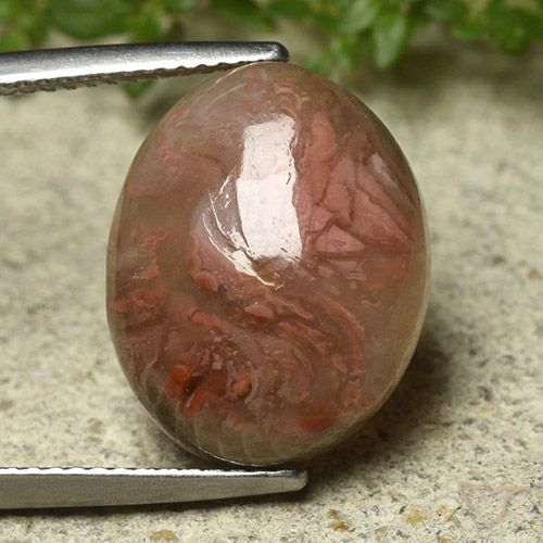 9.92ct Natürlicher Mehrfarbig Koralle, Oval, Lichtdurchlässig