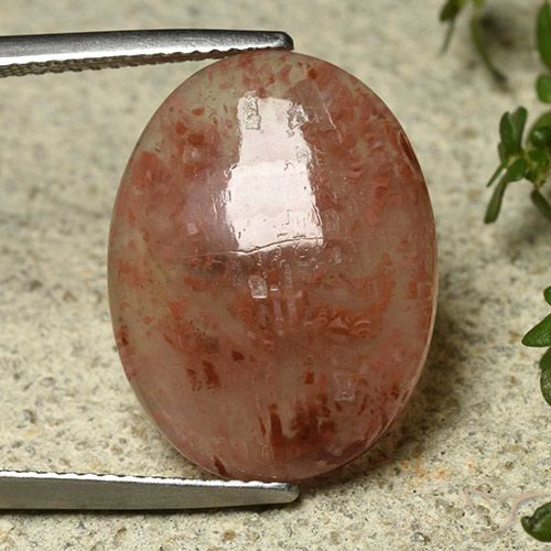 9.08ct Natürlicher Mehrfarbig Koralle, Oval, Lichtdurchlässig