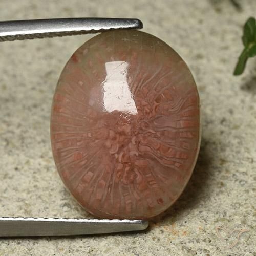 7.81ct Natürlicher Mehrfarbig Koralle, Oval, Lichtdurchlässig
