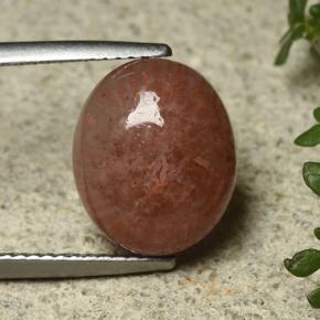 9,17 ctw natürlicher Mehrfarbig Koralle, Oval Schliff, Lichtdurchlässig