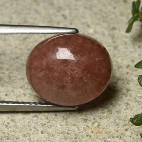 9,17 ctw natürlicher Mehrfarbig Koralle, Oval Schliff, Lichtdurchlässig