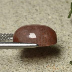 9,17 ctw natürlicher Mehrfarbig Koralle, Oval Schliff, Lichtdurchlässig